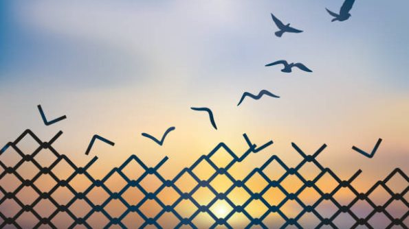 Concept of liberation, with the grid of a palisade that metamorphoses into a dove, which flies away and escapes at sunset.